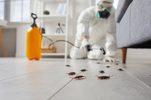 Trusted Cockroach Control service in Egypt, PA - Nex Pest Control